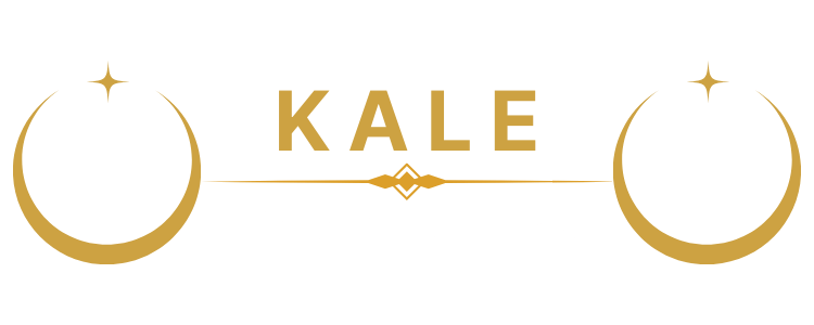 Website Development SEO Optimization Web Developer Northampton Logo White